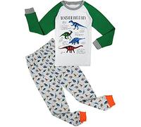 Babylike “ Dinosaure ”Pyjama Deux-pièce, graçons et Filles, 100% de Coton (Groupe d’âge : 2-10 Ans)(Gris,4-5 Ans)