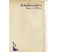 Babyshambles – Down In Albion