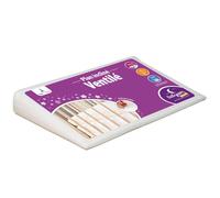 Babysom - Plan incliné Ventilé - 60x35 cm | Inclinateur 15° | Limite les Reflux et les Régurgitations | Pour lit bébé 60x120 cm