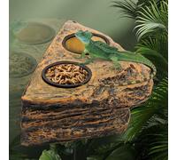 Bac à eau magnétique pour reptiles, support mural, game à barbe, accessoire double bol, imitation texture naturelle, pour geckos, lézards, tortues, araignées, caméléons, serpents