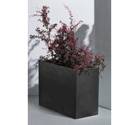 Bac à fleurs anthracite Bac à fleurs Terrasse Protection visuelle 59,5x26,5cm