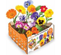 Bac à fleurs comestible batlle