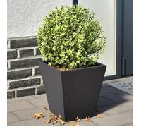Bac à Fleurs et Légumes - Grande Capacité - Noir 2 pcs Jardinière surélevée - montage simplifié - noir 30x30x30cm acier CL2823500