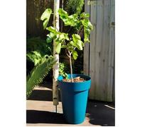 Bac à fleurs soleilla - plastique - hauteur 53 cm - bleu Riviera