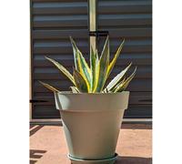 Bac a fleurs rond RIVIERA SOLEILLA - Plastique - Diametre 50 cm - Vert argile