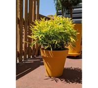 Bac a fleurs rond RIVIERA SOLEILLA - Plastique - Diametre 60 cm - Jaune