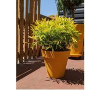 Bac A Fleurs Rond Riviera Soleilla - Plastique - Diametre 60 Cm - Jaune Jaune