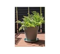 RiViERA Pot de fleurs rond SOLEILLA – Plastique 100% recyclable – D59×H54 – Vert argile