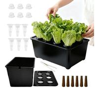 Bac à germes Kit complet pour toutes les saisons | Système hydroponique pour la préparation des plantes à la maison Légumes, fruits, salade et fleurs, pour jardin domestique