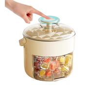 Bac à glace avec couvercle - Moule à glace | Boîte à glaçons avec récipient résistant aux déversements | Outils spéciaux de qualité alimentaire pour boissons, vodka, tequila, whisky, cocktails