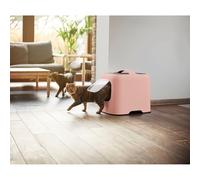 Bac à litière pour chats Rotho My Pet Rose