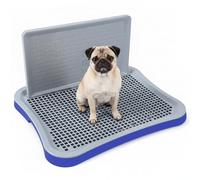 Bac à litière pour Chien Toilettes d'intérieur avec Bords Hauts et Support Amovible en Filet pour l'apprentissage de la propreté des Chiots et Petits Chiens Bleu
