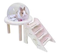 Bac à litière pour hamster et chat, petite toilette, transparente, avec échelle, pour chinchilla, pour garder la vue pendant que vous profitez d'un bain de sable, tout pour gerbille, lapin