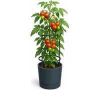 Bac à plantes avec support de culture Pot à tomates Pot à fleurs Vase à plantes
