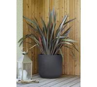 Pot Rond Basalt'up - 67 L - Gris Anthracite Eda Plastiques