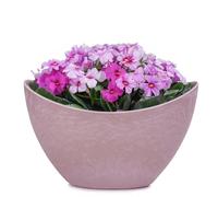 Bac à plantes ovale pour l'extérieur - Grand bateau décoratif - Aspect pierre rose - Pot de fleurs - 24 cm - Jardinier pour jardin, balcon ou cimetière - Résistant aux intempéries
