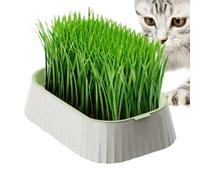 Bac À pour Chats D'Intérieur | Bac de Germination pour Cultiver l'à Chat,Plantation de Blé Double Couche sans Terre pour Propriétaires Occupés