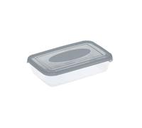 Bac Alimentaire - Caisse Alimentaire - Plast Team Container Polaire Rectangulaire 0.46l Gris transparent 1670
