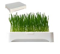 Bac de culture pour chat | Culture sans sol | Culture sans sol, jardinière d'intérieur, plateaux de germination d' à chat