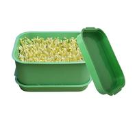 Bac de Germination sans Sol - Kit de Culture de 19 x 17 x 13 cm, bac de Germination sans Sol avec Trous de Drainage | Idéal pour Les Jardins intérieurs et extérieurs, Les pousses de légumes, l'