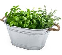 Bac en zinc Bac à fleurs ovale avec poignées en corde naturelle - 43 x 30 cm - bac en métal Petit pot à plantes argenté galvanisé
