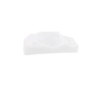 Bac Evaporation Compresseur 294x148mm pour REFRIGERATEUR