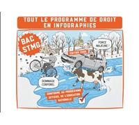 BAC STMG : Tout le programme de droit en infographies | Élève de première et terminale STMG: 100% visuel, 0% blabla, objectif Bac | Conforme au programme de l'Education Nationale