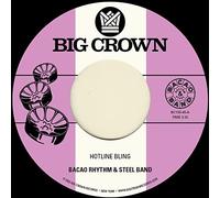 Bacao Rhythm & Steel Band - Hotline Bling