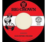 Bacao Rhythm & Steel Band - How We Do + Nuthin' But A G Thang