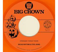 Bacao Rhythm & Steel Band - Stranger Things Theme/Halloween Theme (Pumpkin Ora