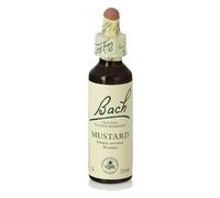 Bach 21 Mustard 20 Ml