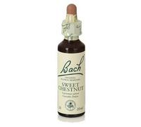 Bach 30 Sweet Chestnut