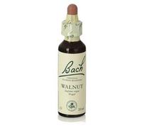 Bach 33 Walnut 20 Ml