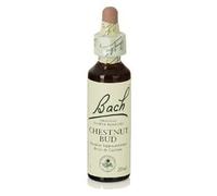 Bach 7 Chestnut Bud 20 Ml