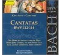 Bach: Cantatas, BWV 112-114 (Edition Bachakademie Vol 36) /Rilling by Gabriele Schreckenbach (2000-02-29)