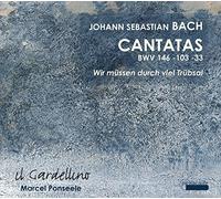 Bach : Cantates Bwv 146-103-33. Il Gardellino, Ponseele
