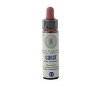 Bach Flower Gorse n. 13 - Farmaflor, 1 Flacon Compte Gouttes 10ml - Made in Italy