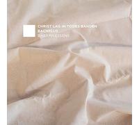 Bach,J.S. / Bachplus / Naessens - Christ Lag Todes Banden 4 [Compact Discs]