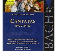 Bach J S : Cantatas, Bwv 35-37