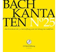 Bach Kantaten N25