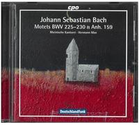 Bach : Motets Bwv 225-230, ANH. 159. Max