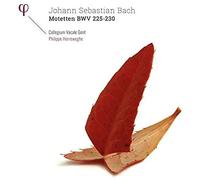 Bach: Motetten Bwv 225-230 [Vinyl]