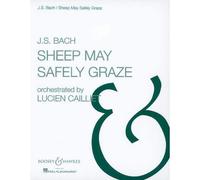 Bach - Sheep May Safely Graze - Orchestre