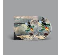 Bach: Sonatas & Partitas, Vol. 2