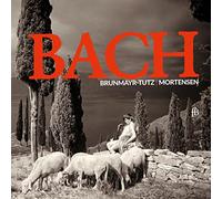 Bach : Sonates pour Flûtes Bwv 1030, 1034, 1035 & Partita Bwv 1030