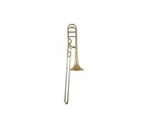 Bach Trombone, Laque (LT42BOFG)
