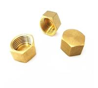 Bachangz-Tuyau laiton 1PC 1/8" 1/4" 3/8" 1/2" 3/4" Hexagonal Female Thread Brass Pipe Cap Hex Head End Cap Plug Fitting Coupler Connector, Tuyau d'irrigation de jardin(1")