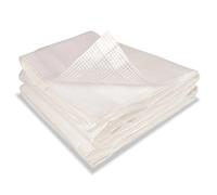 Probache - Bâche armée Transparente 8x12 m renforcée