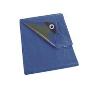 Bâche Bleu/Vert Standard 2x4 M