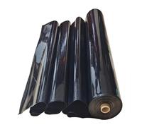 Bâche de bassin en polyéthylène haute densité 0,12 mm d'épaisseur flexible et imperméable pour étangs koï - Caractéristiques : résistant aux UV et aux intempéries - Tailles : 2 x 10 m, 3 x 4 m, 6 x 8